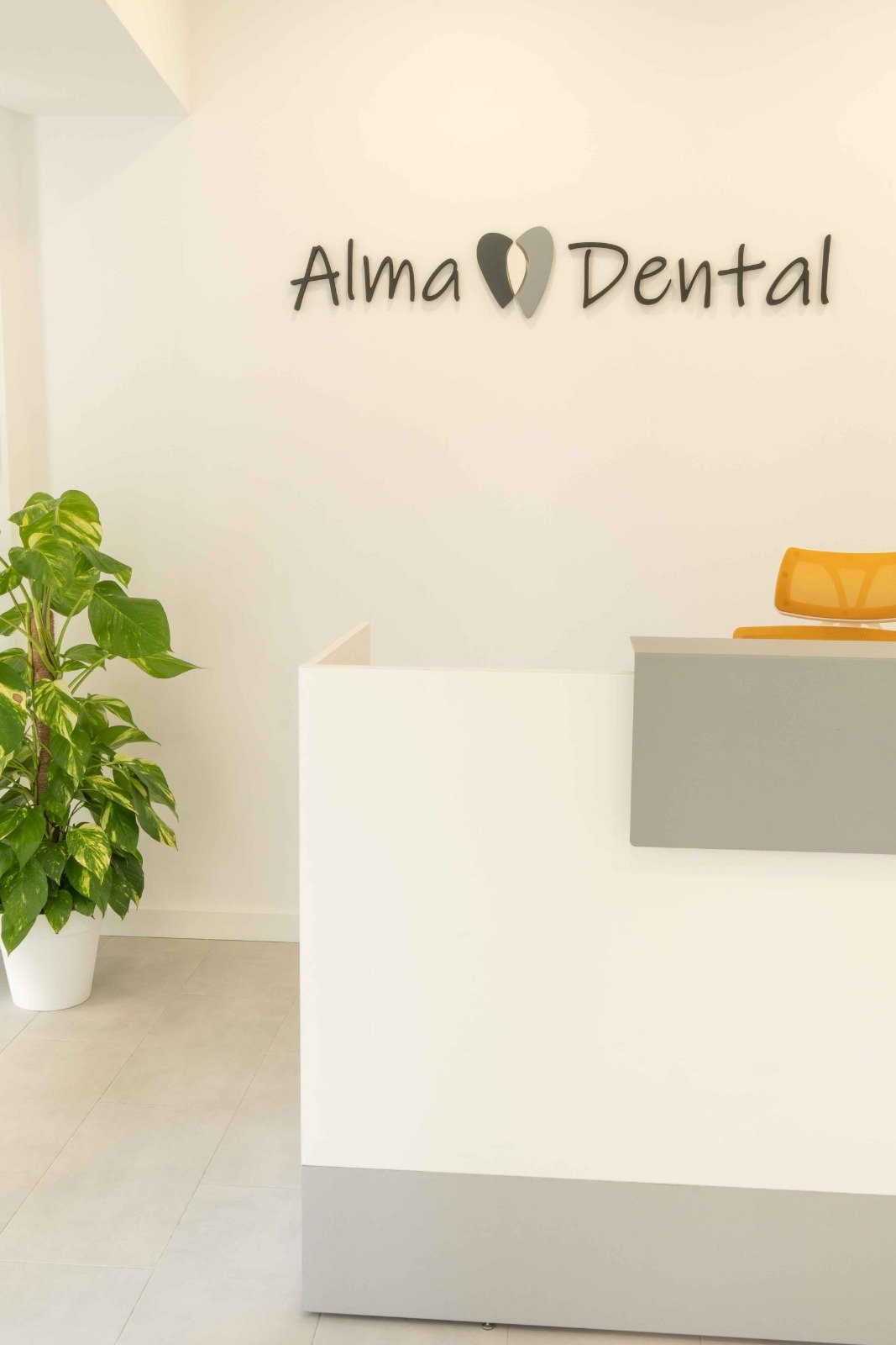 Recepción de la clínica Alma Dental